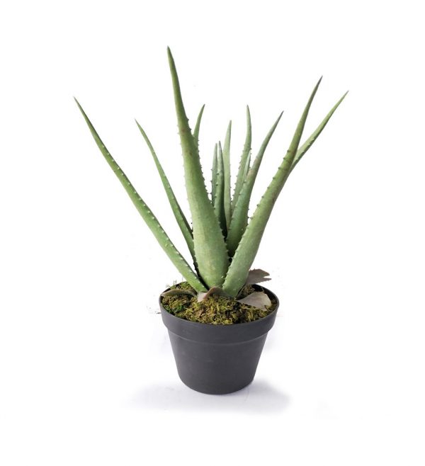 Aloe Vera Artificial Plant Moredesign Com